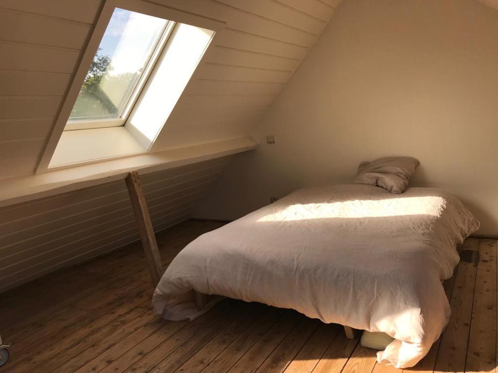 Studio Minerva Anvers Extérieur photo